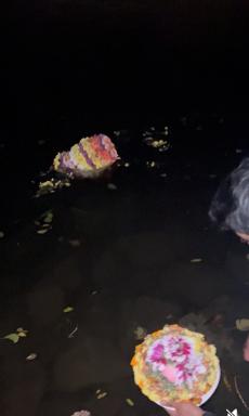 Dasara & Bathukamma - 2025